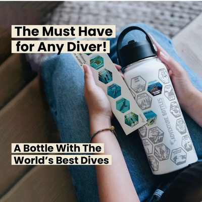 Dive Adventure Bottle + Stickers