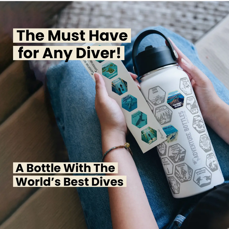 Dive Adventure Bottle + Stickers