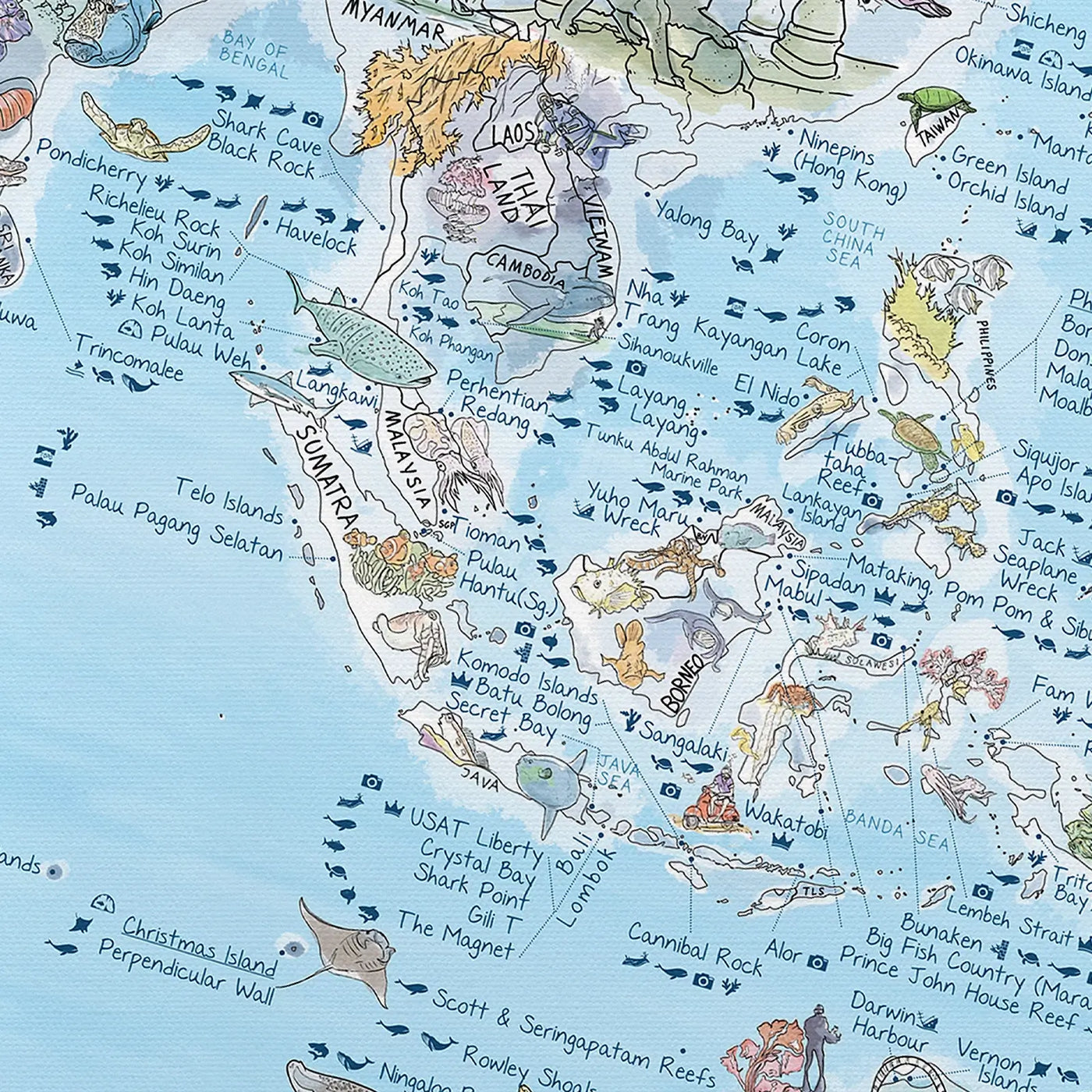 Close-up of the Dive Map canvas highlighting icons on dive types and marine life