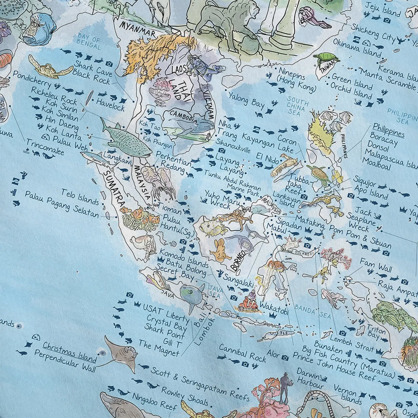 Close-up of the Dive Map roll down canvas highlighting icons on dive types and marine life