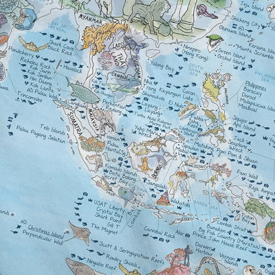 Close-up of the Dive Map roll down canvas highlighting icons on dive types and marine life