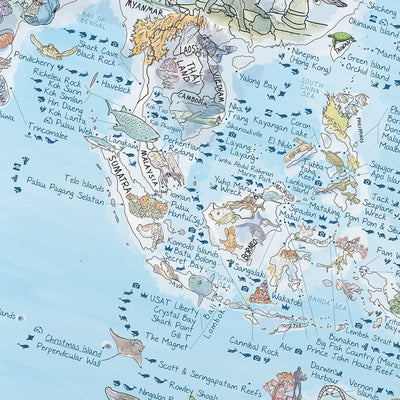 Close-up of the Dive Map poster highlighting icons on dive types and marine life