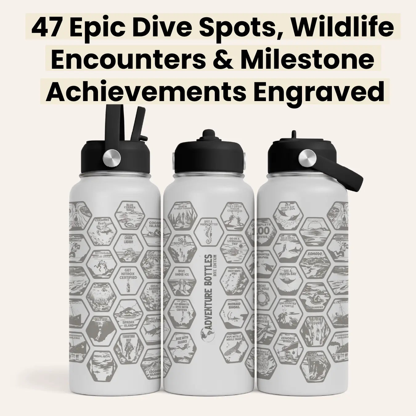 Dive Adventure Bottle + Stickers