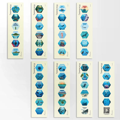 Dive Adventure Bottle Sticker Set Standard